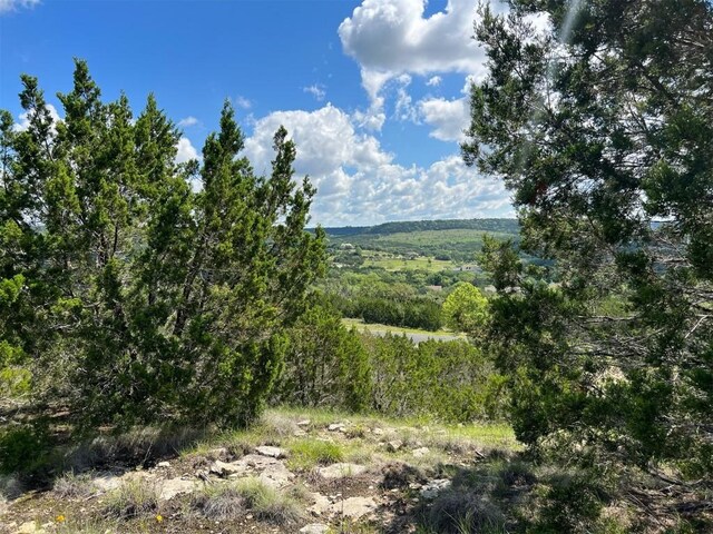 LOT653 Wagon Wheel Trl, Bertram, TX 78605 - photo 18