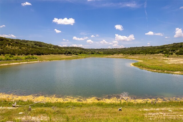 LOT653 Wagon Wheel Trl, Bertram, TX 78605 - photo 26