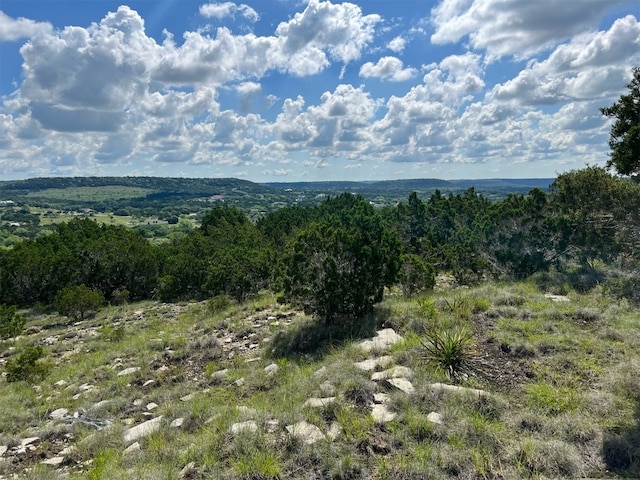 Listing photo 3 for LOT652 Wagon Wheel Trl, Bertram TX 78605