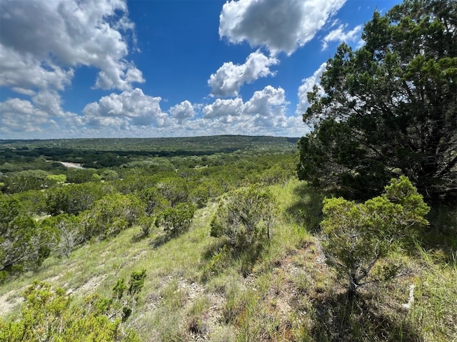 Listing photo 2 for 105 Woodhollow Dr, Bertram TX 78605