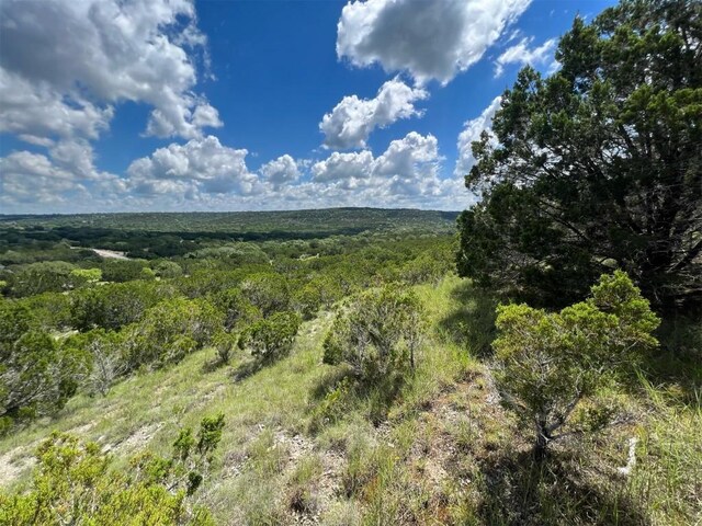105 Woodhollow Dr, Bertram, TX 78605 - photo 2
