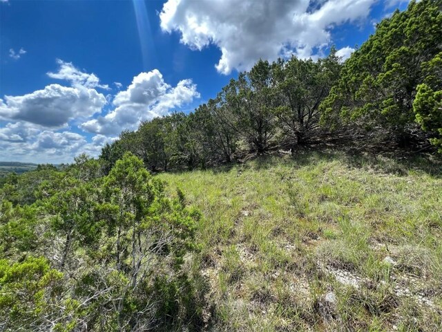 105 Woodhollow Dr, Bertram, TX 78605 - photo 18