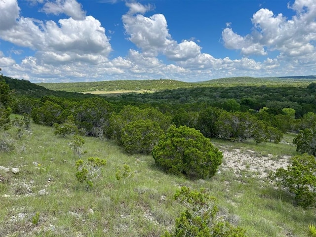 105 Woodhollow Dr, Bertram, TX 78605 - photo 19