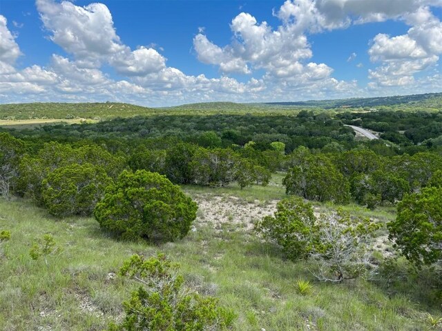 105 Woodhollow Dr, Bertram, TX 78605 - photo 20