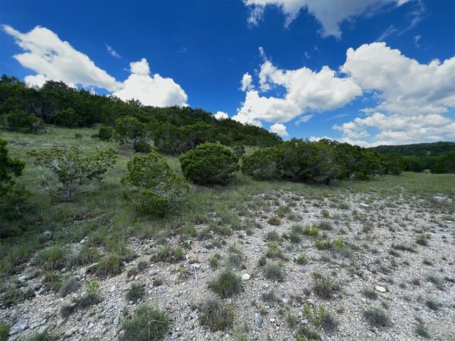 105 Woodhollow Dr, Bertram, TX 78605 - photo 21