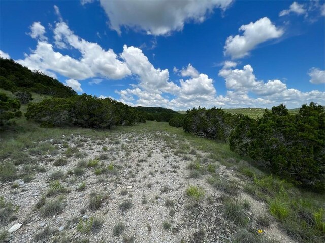 105 Woodhollow Dr, Bertram, TX 78605 - photo 22