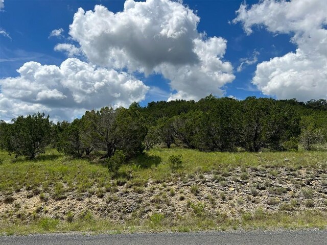 105 Woodhollow Dr, Bertram, TX 78605 - photo 26
