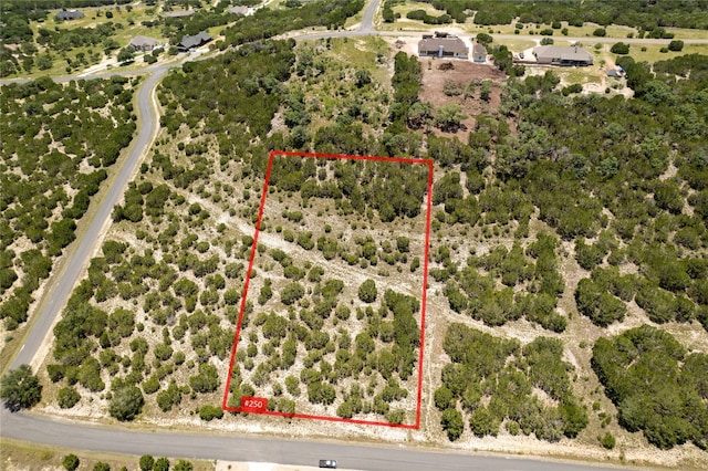 105 Woodhollow Dr, Bertram TX, 78605 land for sale