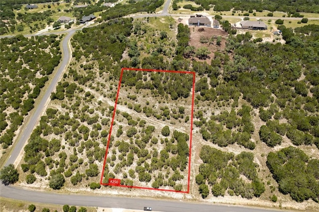 105 Woodhollow Dr, Bertram, TX 78605 - photo 1