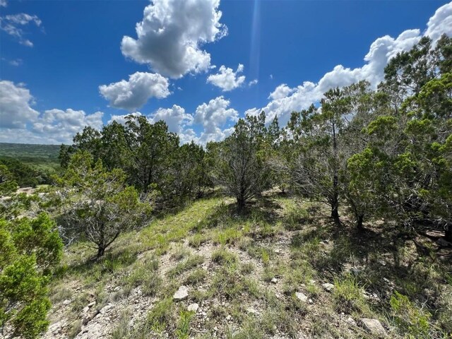 105 Woodhollow Dr, Bertram, TX 78605 - photo 3