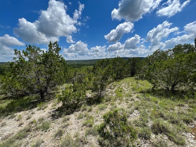 105 Woodhollow Dr, Bertram, TX 78605 - photo 4