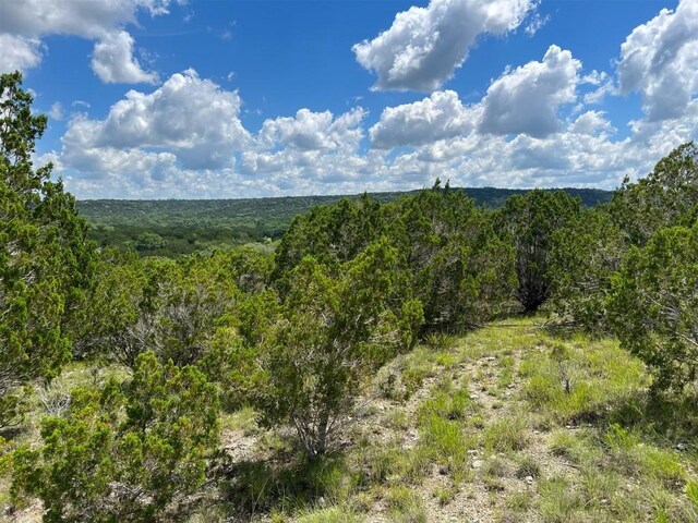 105 Woodhollow Dr, Bertram, TX 78605 - photo 5