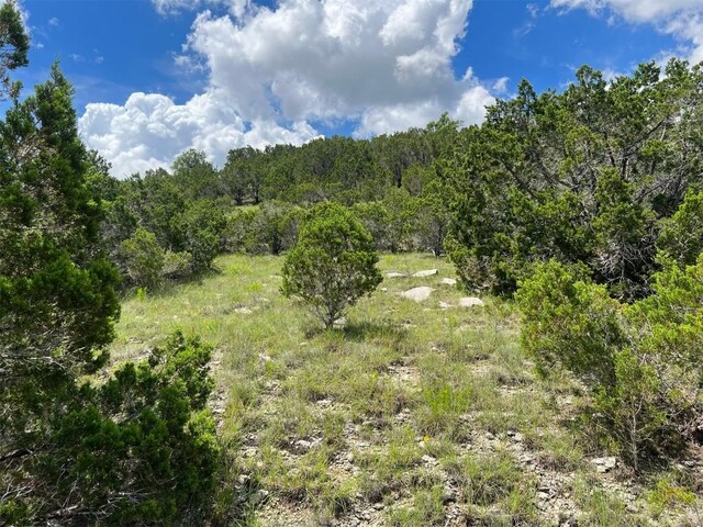 105 Woodhollow Dr, Bertram, TX 78605 - photo 6