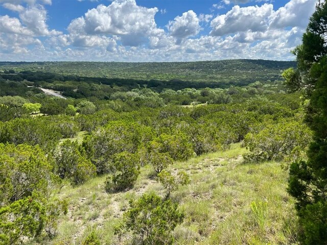 105 Woodhollow Dr, Bertram, TX 78605 - photo 8