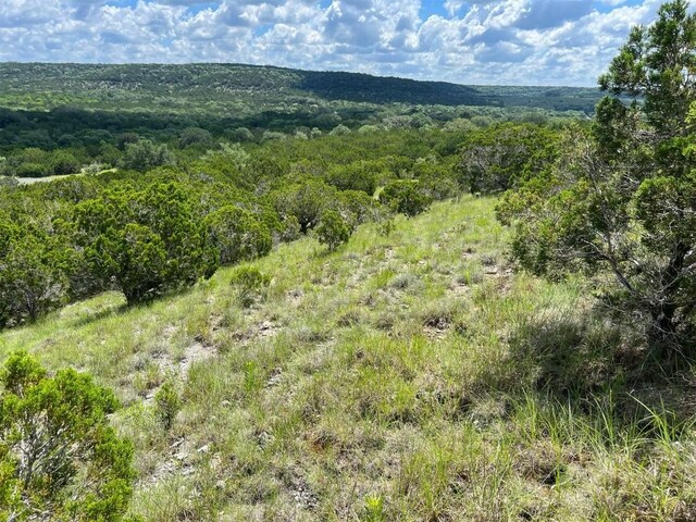 105 Woodhollow Dr, Bertram, TX 78605 - photo 9