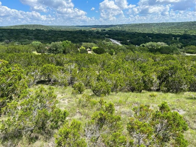 105 Woodhollow Dr, Bertram, TX 78605 - photo 10