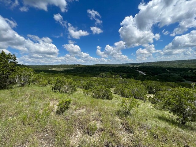 105 Woodhollow Dr, Bertram, TX 78605 - photo 12