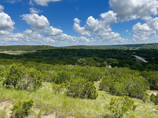 105 Woodhollow Dr, Bertram, TX 78605 - photo 13