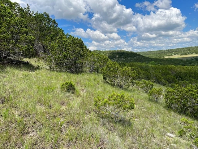 105 Woodhollow Dr, Bertram, TX 78605 - photo 14