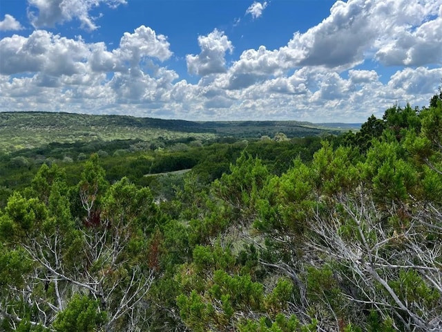 105 Woodhollow Dr, Bertram, TX 78605 - photo 15