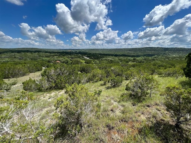 105 Woodhollow Dr, Bertram, TX 78605 - photo 16