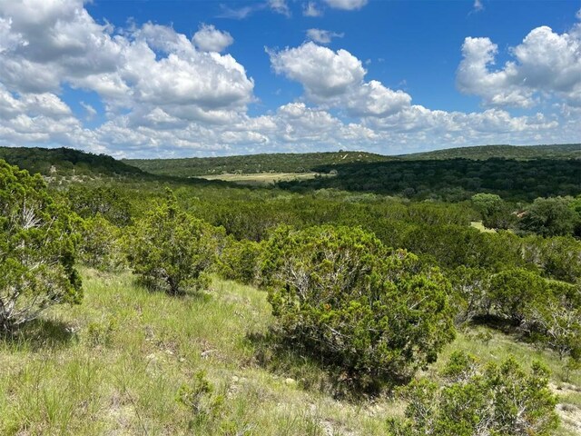 105 Woodhollow Dr, Bertram, TX 78605 - photo 17