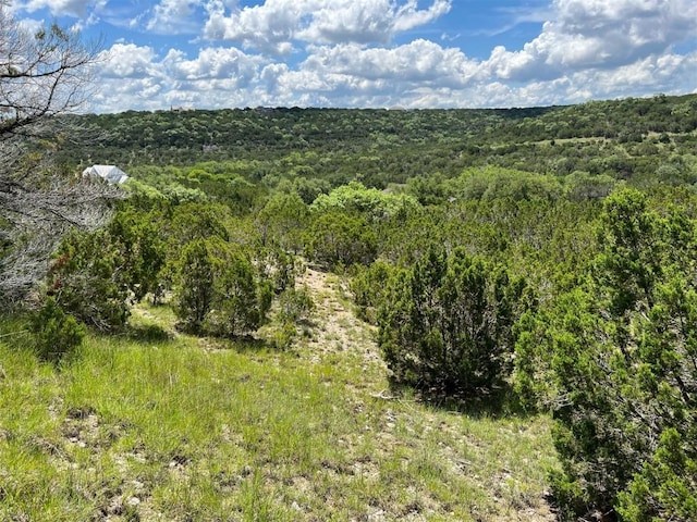 2600 Whitewater Dr, Bertram, TX 78605 - photo 2