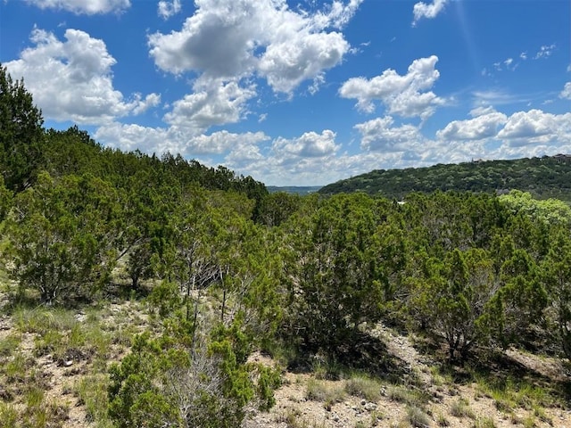 2600 Whitewater Dr, Bertram, TX 78605 - photo 3