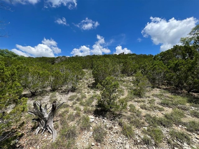 2600 Whitewater Dr, Bertram, TX 78605 - photo 4