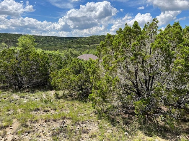 2600 Whitewater Dr, Bertram, TX 78605 - photo 5