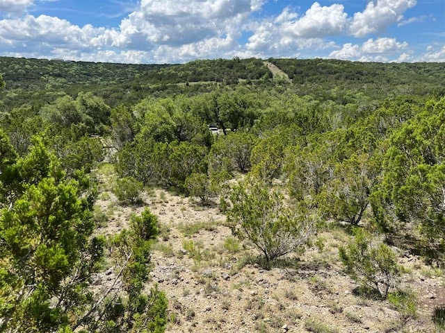 2600 Whitewater Dr, Bertram, TX 78605 - photo 7