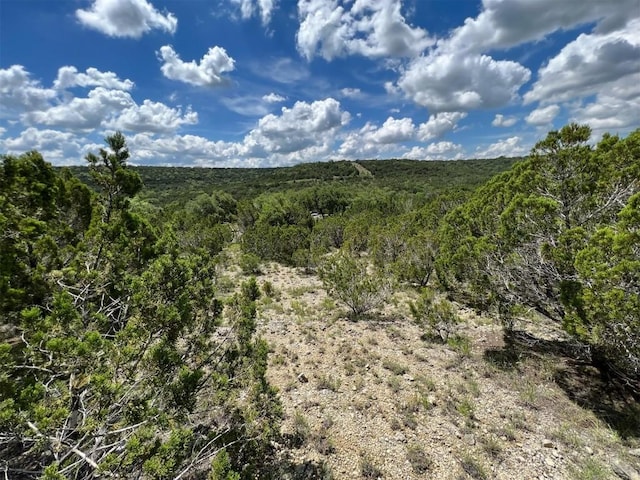 2600 Whitewater Dr, Bertram, TX 78605 - photo 8