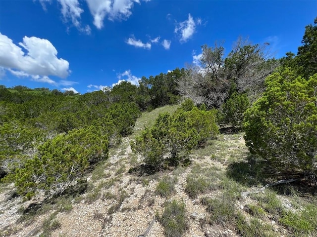 2600 Whitewater Dr, Bertram, TX 78605 - photo 9