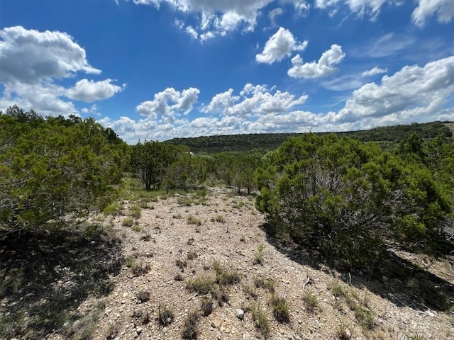 2600 Whitewater Dr, Bertram, TX 78605 - photo 10