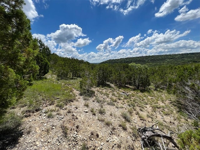 2600 Whitewater Dr, Bertram, TX 78605 - photo 11