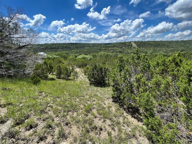 2600 Whitewater Dr, Bertram, TX 78605 - photo 12