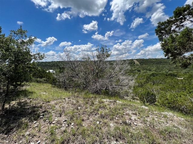 2600 Whitewater Dr, Bertram, TX 78605 - photo 13