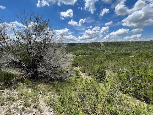 2600 Whitewater Dr, Bertram, TX 78605 - photo 14