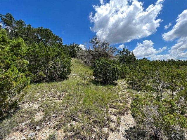 2600 Whitewater Dr, Bertram, TX 78605 - photo 19