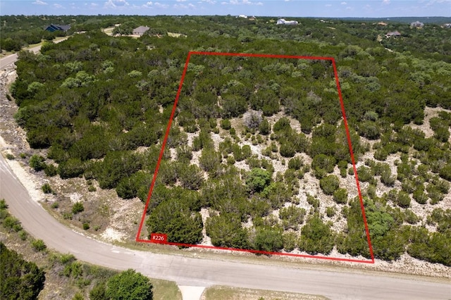 2600 Whitewater Dr, Bertram, TX 78605 - photo 1