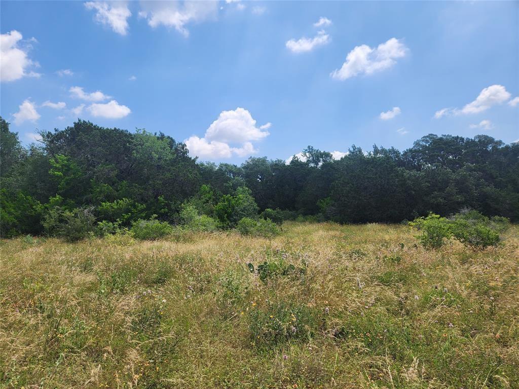 1700 Lime Kiln Rd Unit 4, San Marcos, TX 78666 - photo 1