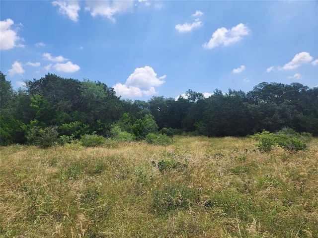 1700 Lime Kiln Rd Unit 4, San Marcos, TX 78666 - photo 1