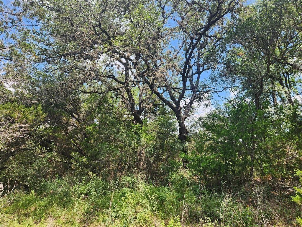 1700 Lime Kiln Rd Unit 4, San Marcos, TX 78666 - photo 2