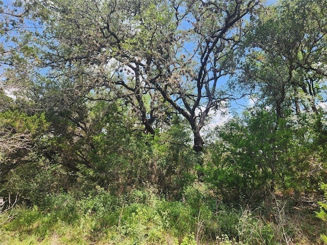 1700 Lime Kiln Rd Unit 4, San Marcos, TX 78666 - photo 2