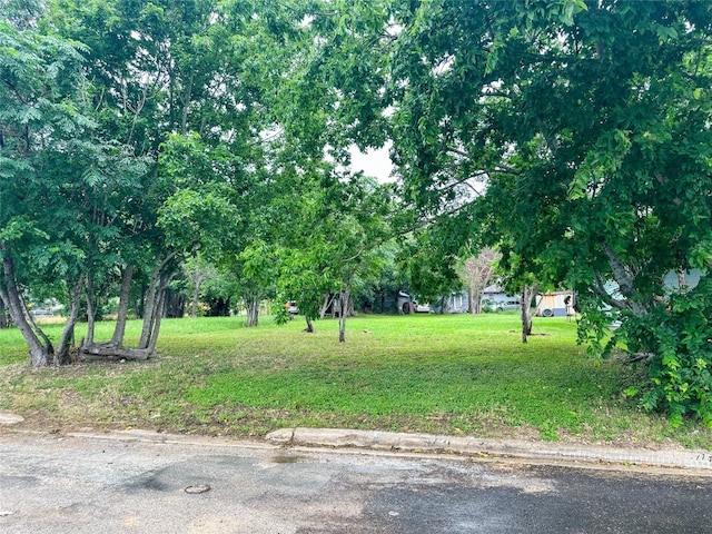 608 Lamar St, Luling TX, 78648 land for sale