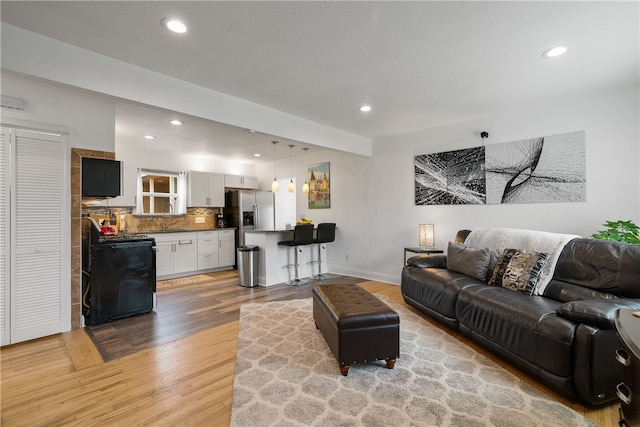 living room with light hardwood / wood-style flooring and sink