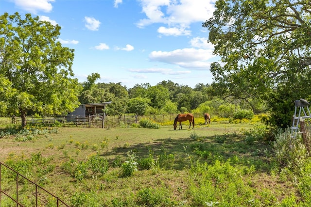 view of yard featuring a rural view