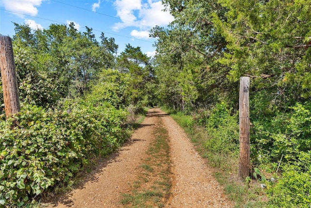 222 Pope Bnd N, Cedar Creek, TX 78612 - photo 8