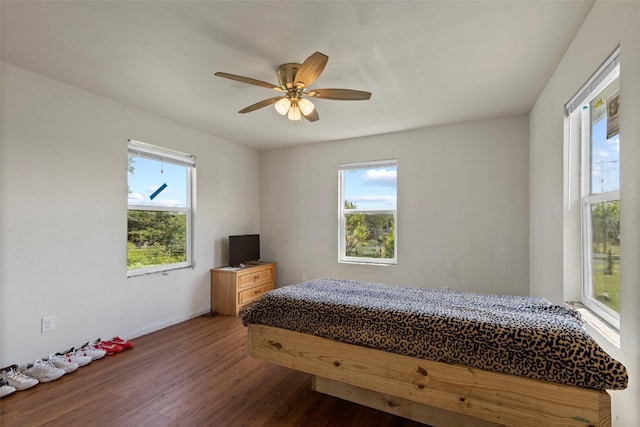 bedroom with wood-type flooring, multiple windows, and ceiling fan