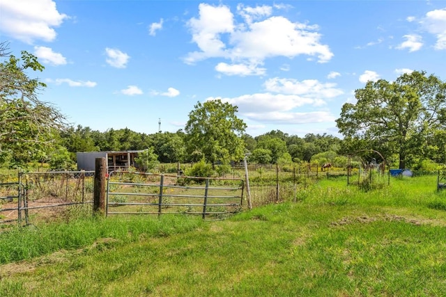 222 Pope Bnd N, Cedar Creek, TX 78612 - view of yard with fence, a view of countryside, and a wooded view